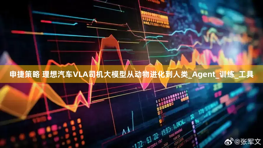 申捷策略 理想汽车VLA司机大模型从动物进化到人类_Agent_训练_工具