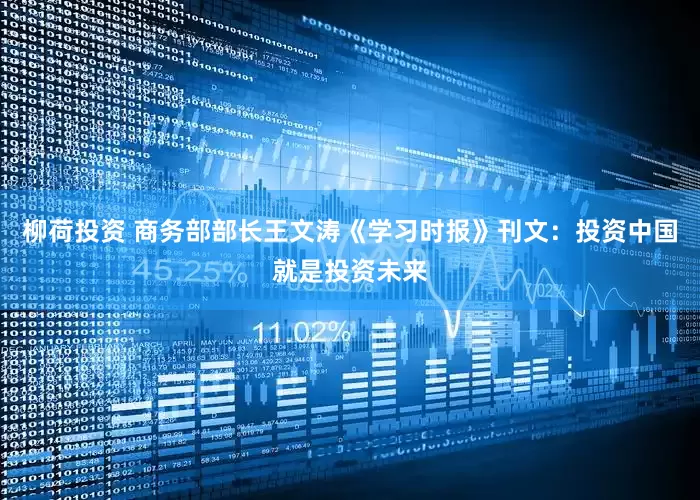 柳荷投资 商务部部长王文涛《学习时报》刊文：投资中国就是投资未来